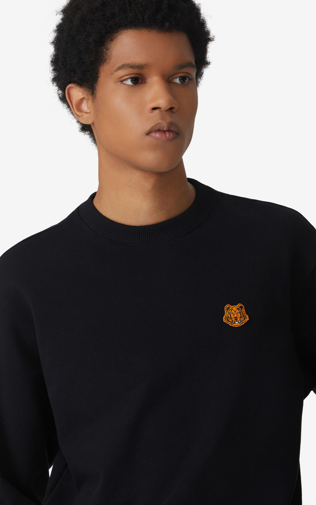 Kenzo Tiger Crest Sudadera Hombre Negras | 4618057-UJ